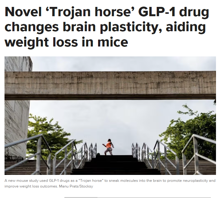 Trojan horse” GLP-1 drug to smuggle neuroplasticity molecules into the brains of mice, which doubled weight loss.