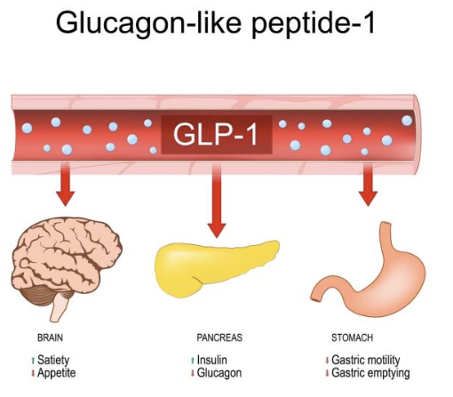 The Peptide Insider: GLP-1 Agonists - Revolutionizing Health and Wellness